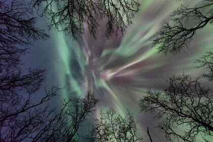 Abisko: Guided Autumn Aurora Chase with Hotel Transfers