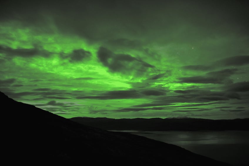 Picture 3 for Activity Abisko: Guided Autumn Aurora Chase with Hotel Transfers