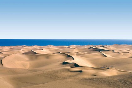 Las Palmas : De Maspalomas aux montagnes de Tejeda Grand excursion