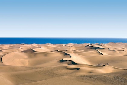 Las Palmas : De Maspalomas aux montagnes de Tejeda Grand excursion