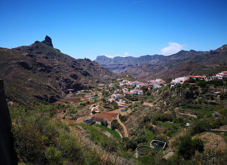 Picture 5 for Activity Las Palmas: Maspalomas to the Tejeda Mountains Grand Tour