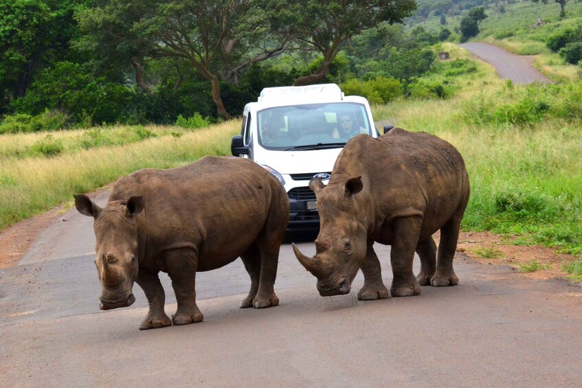 Picture 4 for Activity From Richards Bay: Hluhluwe Imfolozi Game Reserve Day Trip