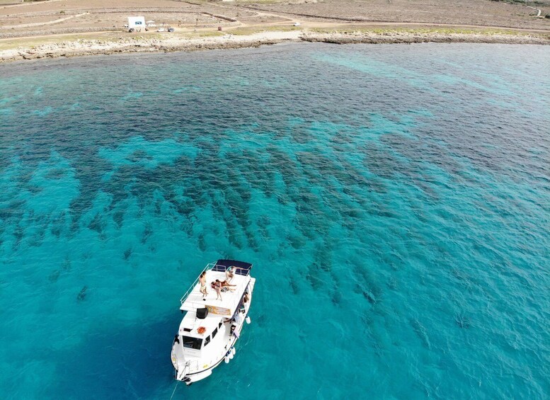 Picture 12 for Activity Favignana: Favignana & Levanzo Sightseeing Cruise with Lunch
