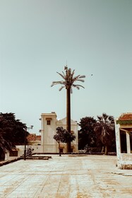 Goree Island: discover Senegalese history and culture