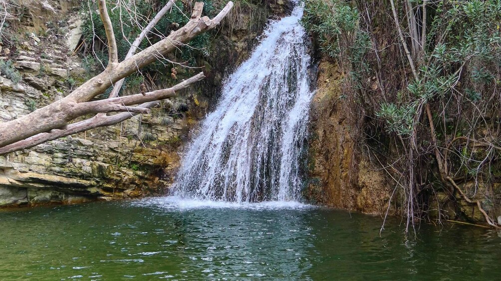 Picture 2 for Activity Paphos: Half Day Jeep Tour Akamas Peninsula (Private)