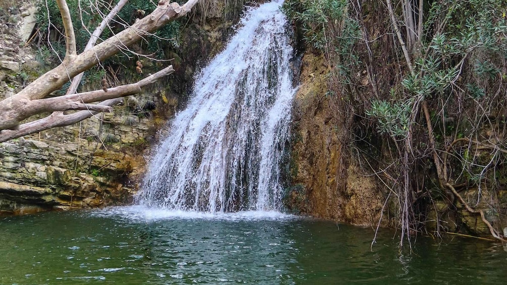 Picture 2 for Activity Paphos: Half Day Jeep Tour Akamas Peninsula (Private)