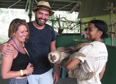 Vanuit Panama Stad: Luchttram en Sloth Sanctuary Tour