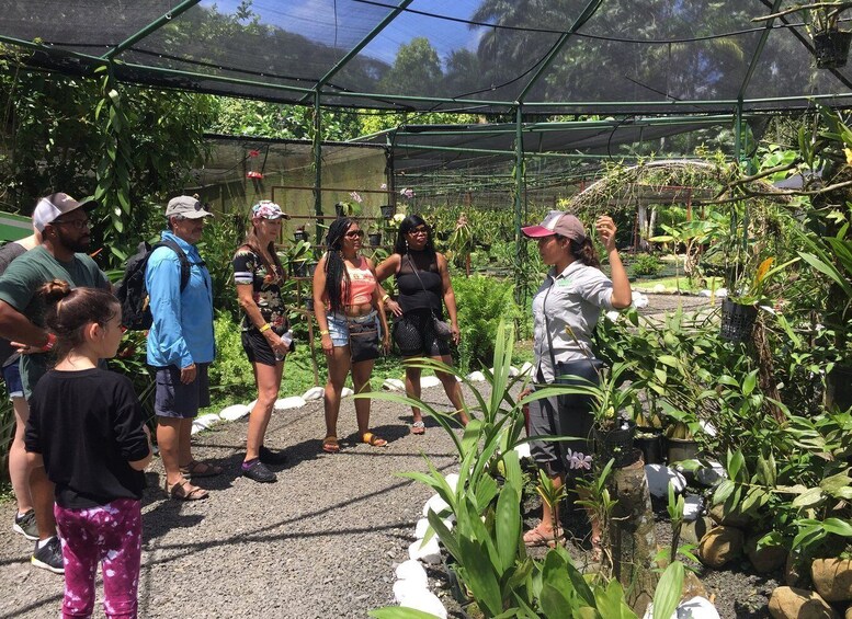 Picture 7 for Activity From Panama City: Aerial Tram and Sloth Sanctuary Tour