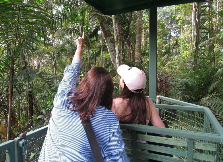 Picture 5 for Activity From Panama City: Aerial Tram and Sloth Sanctuary Tour