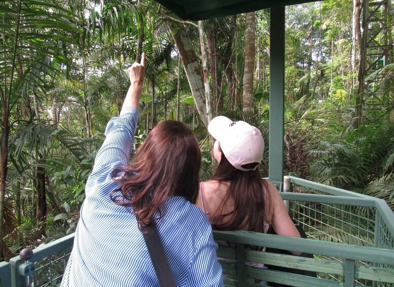 Picture 5 for Activity From Panama City: Aerial Tram and Sloth Sanctuary Tour