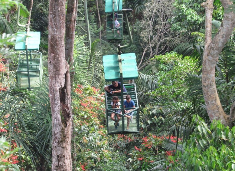 Picture 1 for Activity From Panama City: Aerial Tram and Sloth Sanctuary Tour