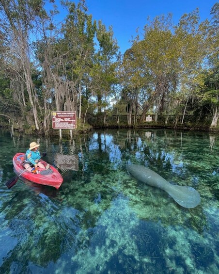 Picture 4 for Activity Crystal River: Kayak Rental