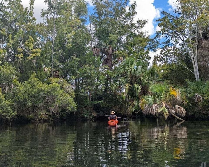 Picture 17 for Activity Crystal River: Kayak Rental