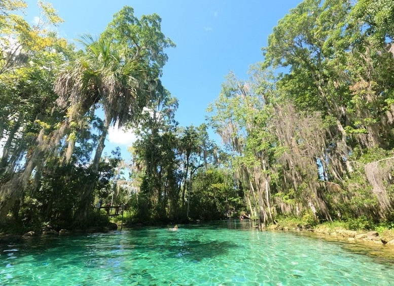 Picture 14 for Activity Crystal River: Kayak Rental