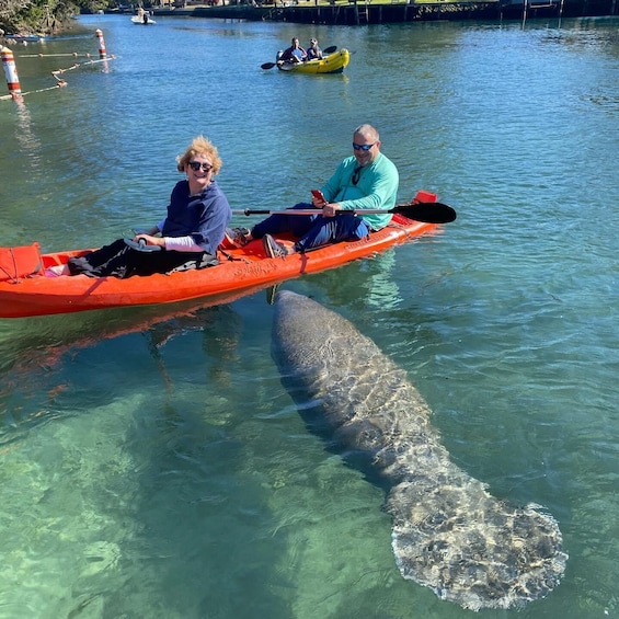 Picture 8 for Activity Crystal River: Kayak Rental