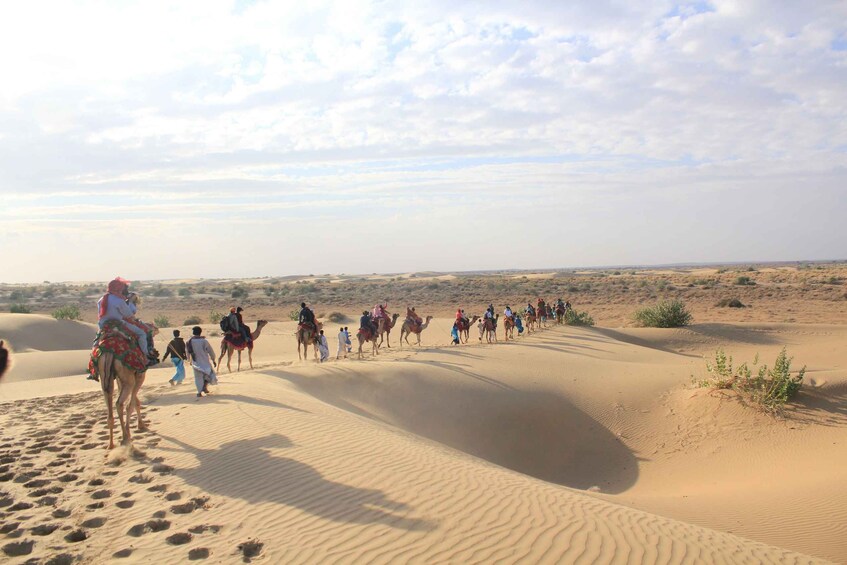 Picture 2 for Activity Exclusive Musical Evening in the Desert Luxury Camp