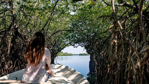 Desde Kalutara Safari exclusivo por el río Madu y criadero de tortugas
