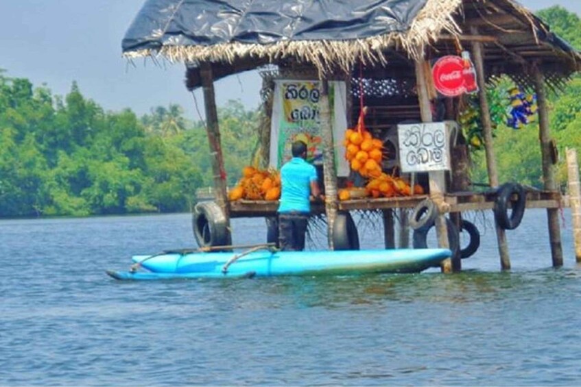 Picture 2 for Activity From Kalutara: Madu River Safari & Turtle Hatchery Visit