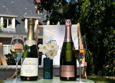 Champagne: Organic Champagne Tasting