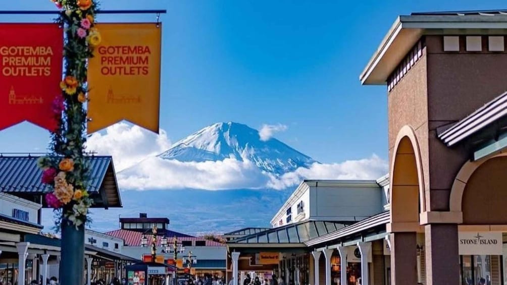 Picture 4 for Activity 1-Day trip: Hakone Area + Gotemba Premium Outlets