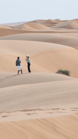 Picture 3 for Activity Sunset at wahiba desert