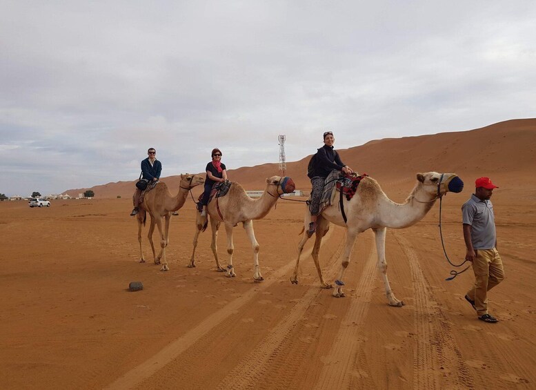 Picture 12 for Activity Sunset at wahiba desert
