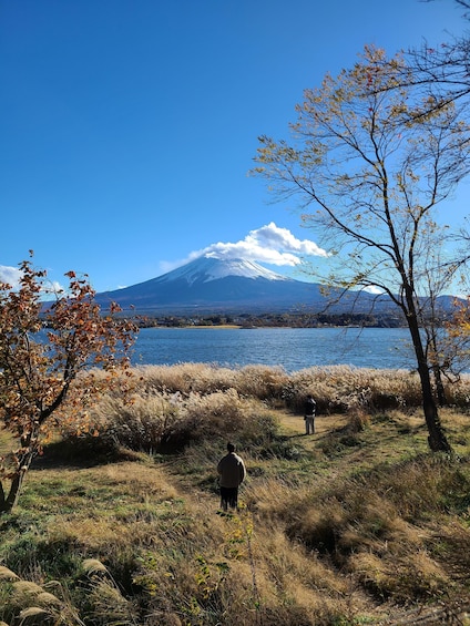 Picture 27 for Activity From Kawaguchiko: Mt. Fuji Private Tour with a Local Guide