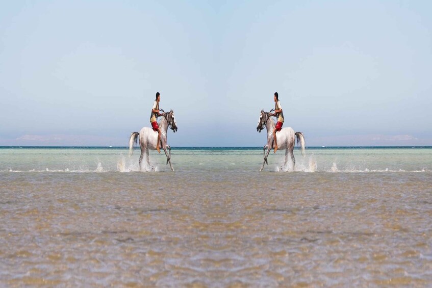 Picture 8 for Activity Hurghada: Horse Ride Along the Sea & Desert with Transfers