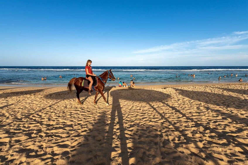 Picture 6 for Activity Hurghada: Horse Ride Along the Sea & Desert with Transfers