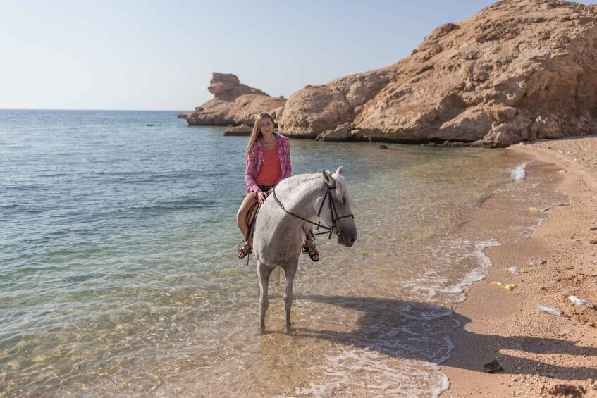 Picture 4 for Activity Hurghada: Horse Ride Along the Sea & Desert with Transfers