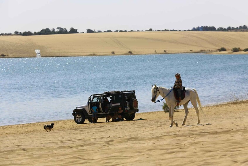 Picture 11 for Activity Hurghada: Horse Ride Along the Sea & Desert with Transfers