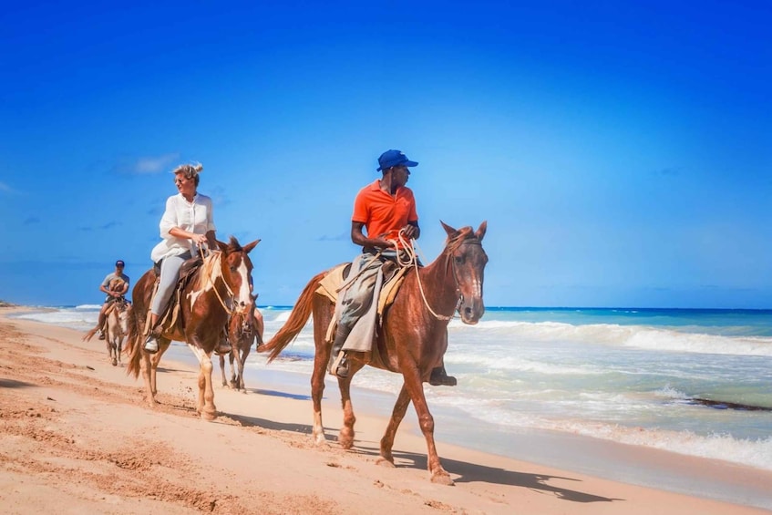 Hurghada: Horse Ride Along the Sea & Desert with Transfers