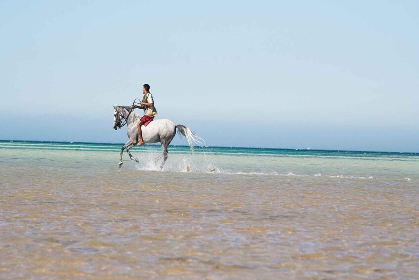 Picture 5 for Activity Hurghada: Horse Ride Along the Sea & Desert with Transfers