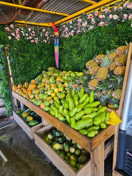 Picture 12 for Activity From San Juan: El Yunque Rainforest & Luquillo kiosks Tour