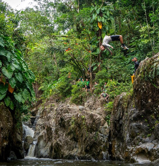 Picture 4 for Activity From San Juan: El Yunque Rainforest & Luquillo Tour