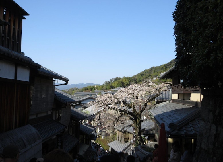 Picture 6 for Activity Kyoto: Kiyomizu Temple, Pagoda, Gion "Geisya" (Italian)