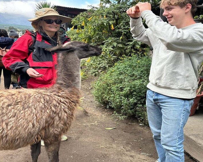 Picture 4 for Activity Cotopaxi and Baños Tour in one day - All included from Quito