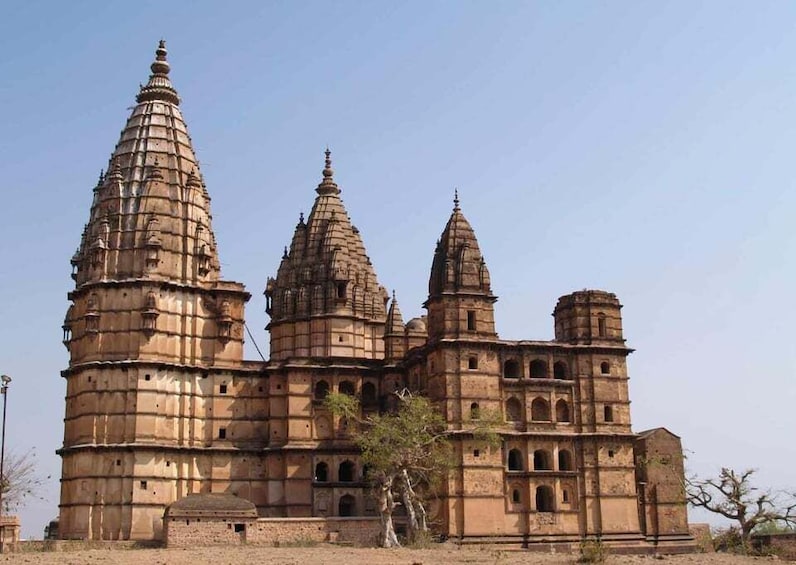 Picture 1 for Activity Touristic Highlights of Orchha & Jhansi(Guided Fullday Tour)