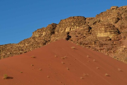 3-Days Tour: Wadi-Rum, Petra, Madaba and Amman from Aqaba
