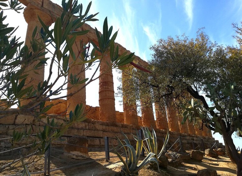 Picture 8 for Activity Agrigento: Valley of the Temples Private Tour