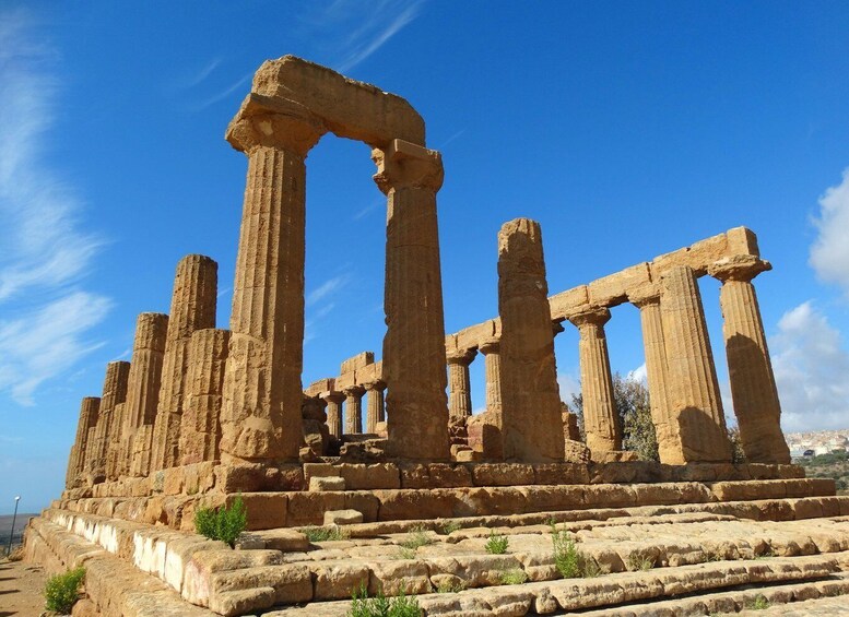 Picture 2 for Activity Agrigento: Valley of the Temples Private Tour