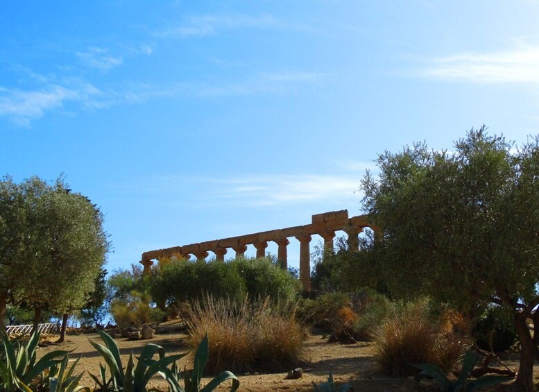 Picture 4 for Activity Agrigento: Valley of the Temples Private Tour
