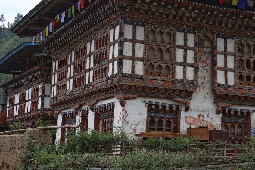 Picture 14 for Activity 4 Day Bhutan Tour