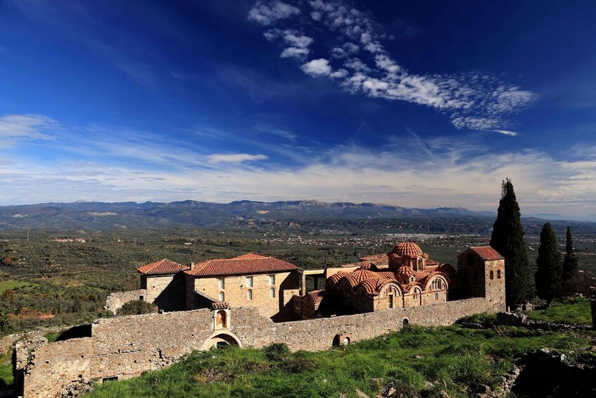 Picture 5 for Activity Mystras Castle Town, Sparta, Olive Museum Private Day Tour