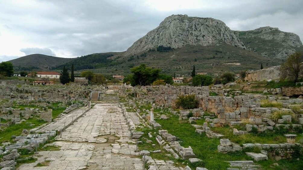 Picture 44 for Activity Mystras Castle Town, Sparta, Olive Museum Private Day Tour