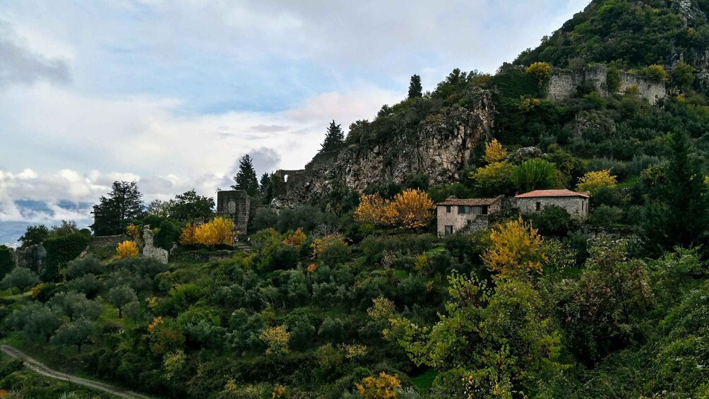 Picture 18 for Activity Mystras Castle Town, Sparta, Olive Museum Private Day Tour