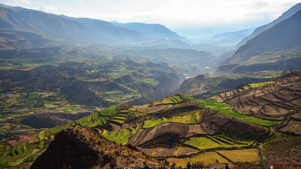 Picture 3 for Activity From Arequipa: Excursion to the Colca Canyon ending in Puno