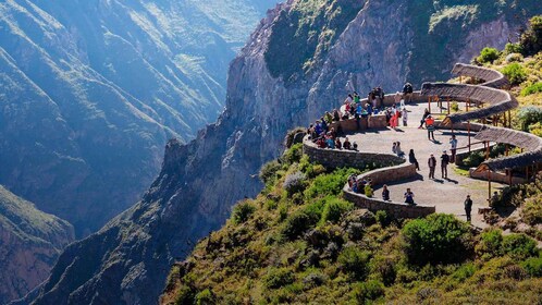 Depuis Arequipa : Excursion au Canyon de Colca se terminant à Puno