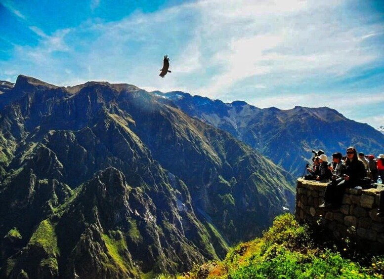 Picture 2 for Activity From Arequipa: Excursion to the Colca Canyon ending in Puno