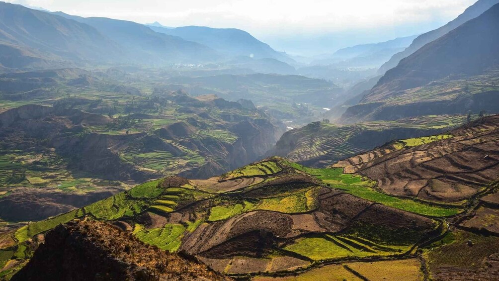 Picture 3 for Activity From Arequipa: Excursion to the Colca Canyon ending in Puno